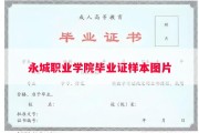永城职业学院毕业证样本图片