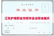 江苏护理职业学院毕业证样本图片