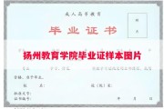 扬州教育学院毕业证样本图片