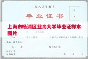 上海市杨浦区业余大学毕业证样本图片