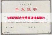 沈阳药科大学毕业证样本图片
