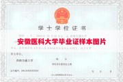 安徽医科大学毕业证样本图片