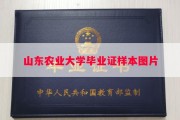 山东农业大学毕业证样本图片