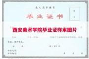 西安美术学院毕业证样本图片