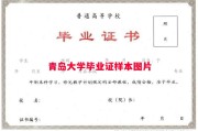 青岛大学毕业证样本图片