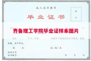 齐鲁理工学院毕业证样本图片
