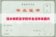 佳木斯职业学院毕业证样本图片