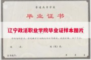 辽宁政法职业学院毕业证样本图片