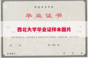 西北大学毕业证样本图片