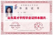 山东英才学院毕业证样本图片