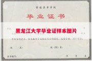 黑龙江大学毕业证样本图片