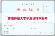信阳师范大学毕业证样本图片