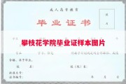 攀枝花学院毕业证样本图片