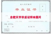 合肥大学毕业证样本图片