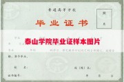 泰山学院毕业证样本图片