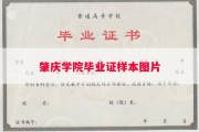 肇庆学院毕业证样本图片