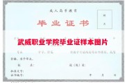 武威职业学院毕业证样本图片