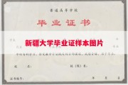 新疆大学毕业证样本图片