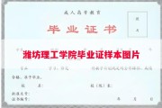 潍坊理工学院毕业证样本图片