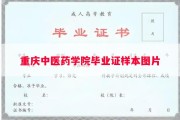 重庆中医药学院毕业证样本图片