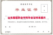 山东服装职业学院毕业证样本图片