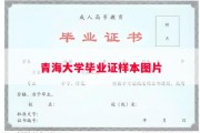 青海大学毕业证样本图片