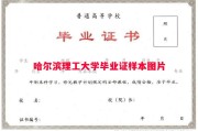哈尔滨理工大学毕业证样本图片