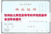 钦州幼儿师范高等专科学校历届毕业证样本图片