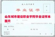 山东城市建设职业学院毕业证样本图片
