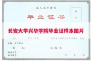 长安大学兴华学院毕业证样本图片
