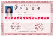 泰山职业技术学院毕业证样本图片