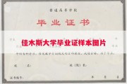 佳木斯大学毕业证样本图片