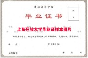 上海开放大学毕业证样本图片