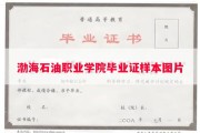 渤海石油职业学院毕业证样本图片