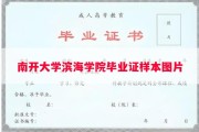 南开大学滨海学院毕业证样本图片