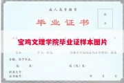 宝鸡文理学院毕业证样本图片