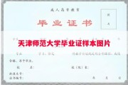 天津师范大学毕业证样本图片