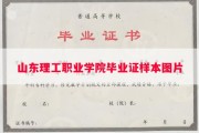 山东理工职业学院毕业证样本图片