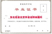 东北农业大学毕业证样本图片