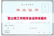 营口理工学院毕业证样本图片