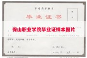 保山职业学院毕业证样本图片