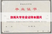 渤海大学毕业证样本图片