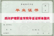四川护理职业学院毕业证样本图片