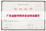 广东金融学院毕业证样本图片