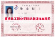 重庆化工职业学院毕业证样本图片