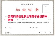 云南科技信息职业学院毕业证样本图片