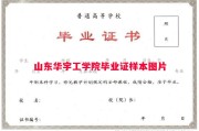 山东华宇工学院毕业证样本图片