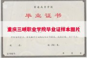 重庆三峡职业学院毕业证样本图片