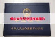 佛山大学毕业证样本图片