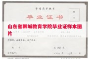山东省聊城教育学院毕业证样本图片